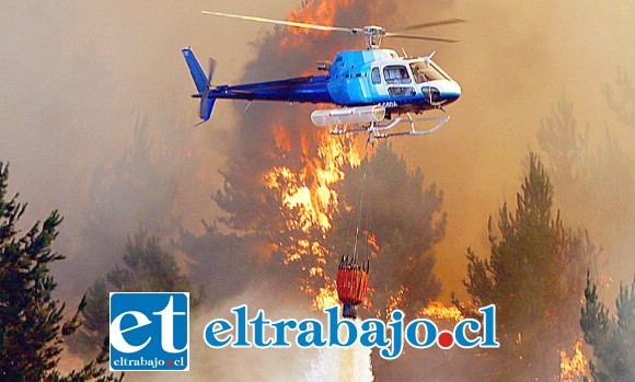 SIN DESCANSO.- Aquí vemos en acción a uno de los 27 helicópteros de la Conaf, el que deposita el preciado líquido a 15 metros de las copas de los árboles; su tiempo de recarga de agua de de diez minutos y la capacidad es de 1.200 a 1.500 litros.