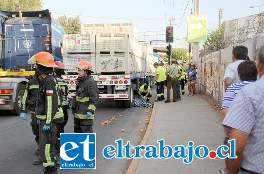 Conmoción causó en el sector, el trágico accidente que costó la vida a un hombre de 48 años que aparentemente robaba duraznos desde el camión detenido por el semáforo.