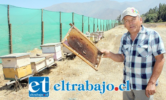 APICULTOR DESESPERADO.- Sólo estas 24 colmenas sobreviven al polvo que esta empresa genera en el sector Parrasía bajo.
