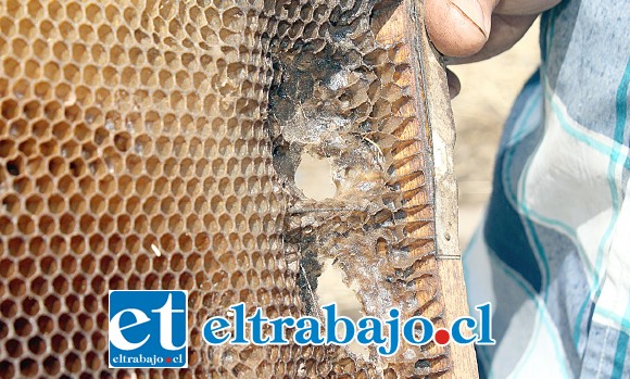 MUCHOS RECLAMOS.- Ayer mismo estos vecinos hicieron llegar al gobernador Eduardo León este documento, ellos aseguran que la empresa se burla de ellos, y de Gobernación..