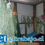 Traficante enviado a la cárcel tras decomiso de tres kilos de marihuana Traficante enviado a la cárcel tras decomiso de tres kilos de marihuana