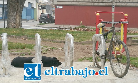 AÚN SIN INAUGURAR.- Aquí vemos estos cicleteros, no los han inaugurado pero ya están siendo instalados.