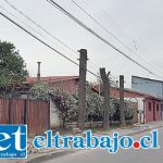 Artemón Cifuentes fue otra de las calles afectadas con la destrucción de árboles que probablemente deberán ser arrancados tras la dupuesta ‘poda’.