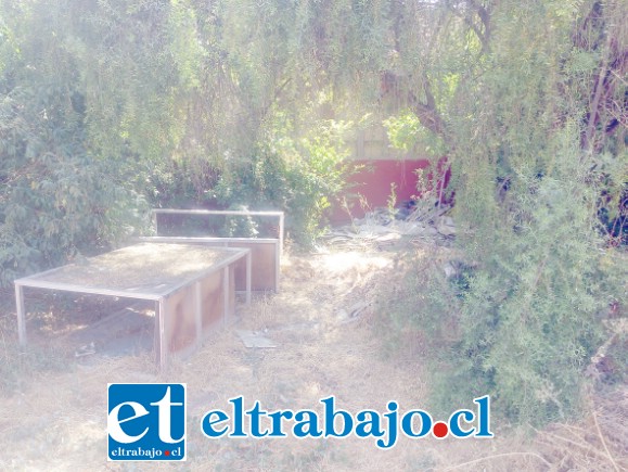 EN INVESTIGACIÓN.- Tal cual lo muestran las cámaras de Diario El Trabajo, muy cerca de este centro cultural pernoctan adictos, lo cual ya está siendo investigado por Carabineros.