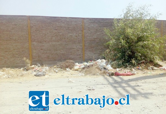 Micro basural en avenida 12 de Febrero.