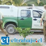Dos detenidos por robo de especies de casas en construcción en Santa María Dos detenidos por robo de especies de casas en construcción en Santa María