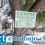 Inescrupulosos instalan letreros en árboles y postes de alumbrado público Inescrupulosos instalan letreros en árboles y postes de alumbrado público