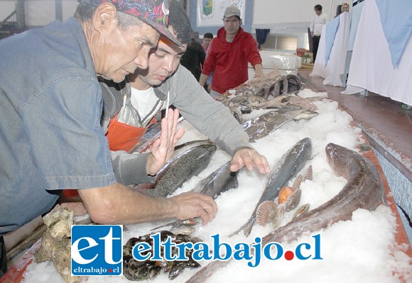 PRODUCTOS FRESCOS.- Fueron cuatro toneladas de pescado y mariscos frescos los que se necesitaron para lograr esta nueva hazaña culinaria.