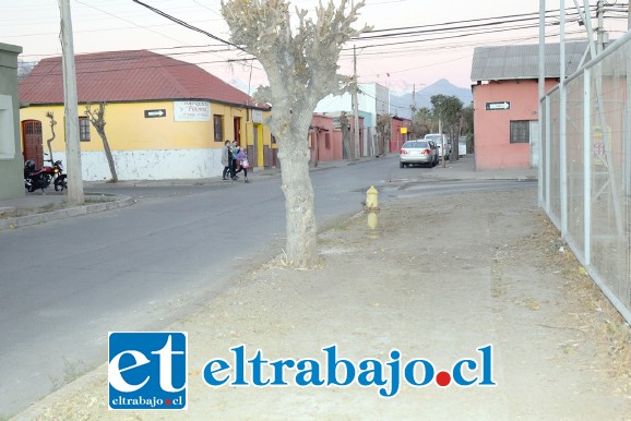 AHORA.- Así luce ahora la misma esquina, y en ese punto vemos el grifo en cuestión.