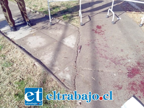 Abundante sangre junto a la cuchilla utilizada por el hombre de nacionalidad chilena que habría atacado a la mujer colombiana, arrebatándole la vida.