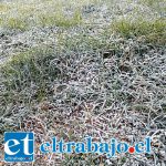 Nuevamente Aconcagua amaneció bajo cero y con escarcha Nuevamente Aconcagua amaneció bajo cero y con escarcha
