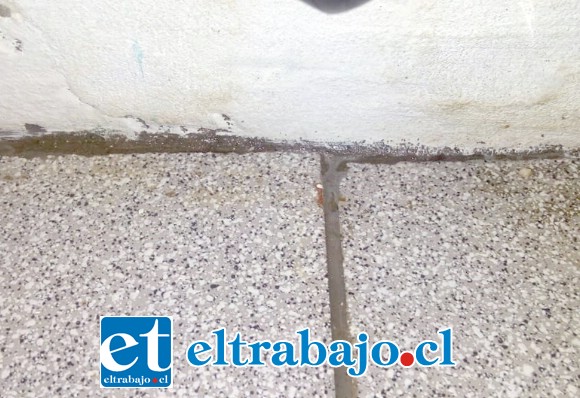 La humedad permanente en el piso.