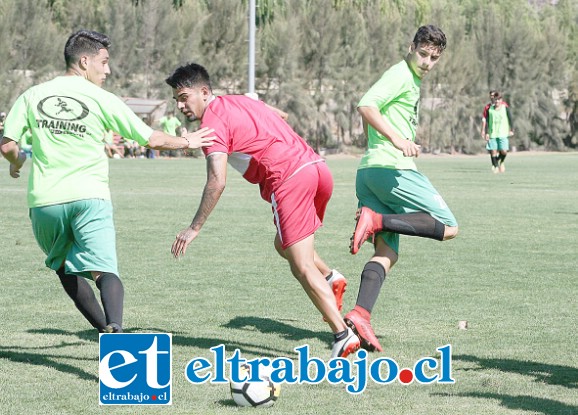 Las principales instituciones deportivas del valle de Aconcagua sostendrán mañana un juego de ensayo.