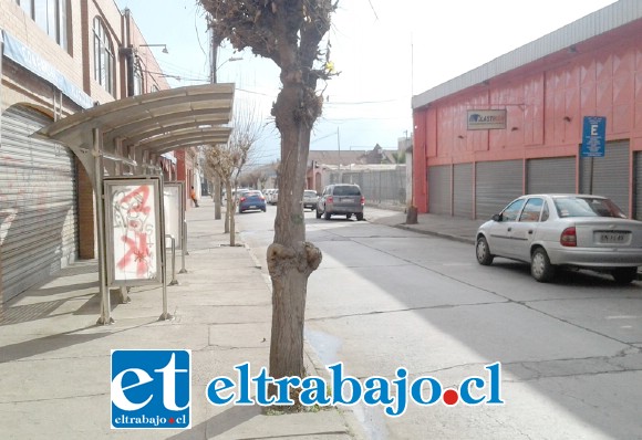 Por esta calle Freire se piensa que pase la locomoción colectiva.