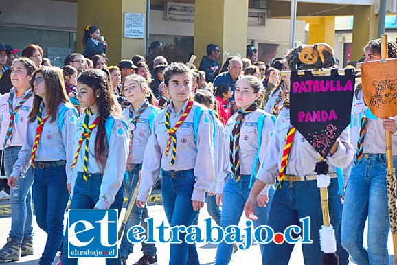 SCOUTS DEL FUTURO.- Varias patrullas de los Scouts de nuestra comuna dijeron Presente durante esta multitudinaria fiesta.
