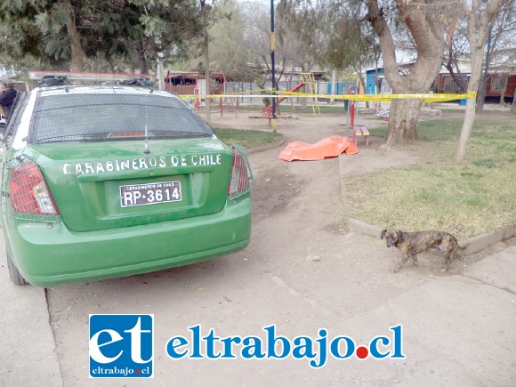 Carabineros, PDI y SML en el lugar donde fue encontrado el cuerpo sin vida de Iván Aquiles Salinas Pizarro.