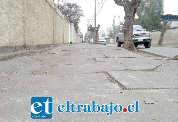 Acá se puede apreciar el mal estado de las veredas en calle Hopfenblatt, con los pastelones levantados, en total desorden e intransitable para personas mayores.