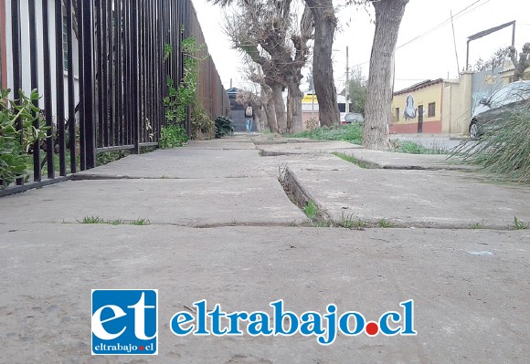 Acá se puede apreciar el mal estado de las veredas en calle Hopfenblatt, con los pastelones levantados, en total desorden e intransitable para personas mayores.