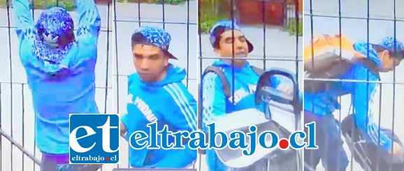 El registro audiovisual corresponde al robo ocurrido en la Villa Aconcagua de San Felipe el pasado 17 de agosto.