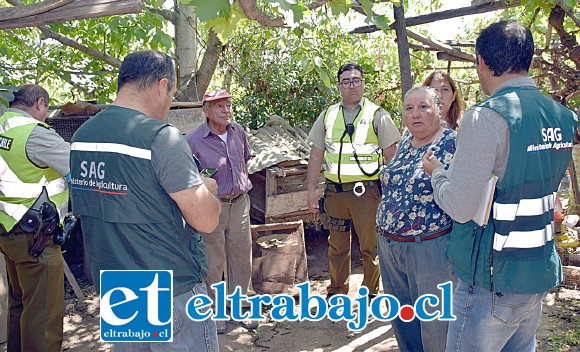 AUTORIDADES EN TERRENO.- Funcionarios del SAG y Carabineros de Santa María investigaron la escena, concluyendo de manera extraoficial que ‘El Quique’ habría sido el autor de la matanza.
