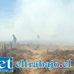 Por segunda vez en dos días vuelve a arder el sector poniente de San Felipe Por segunda vez en dos días vuelve a arder el sector poniente de San Felipe