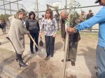 Tanto la Gobernadora Patricia Boffa como el Alcalde Jaime Amar, acompañaron a la Presidente de la Junta Vecinal de El Señorial, Verónica Alvarado, en la siembra de especies aptas para zonas urbanas que no crecerán más de seis metros de altura.