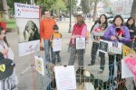 ‘Amor Callejero’ ofrece en adopción las mascotas ya debidamente desparasitadas y aseadas, cada sábado a la Plaza de Armas llegan decenas de amantes de los animales en busca de llevarse alguno para su casa.