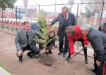 En el marco de las celebraciones del Día Mundial del Árbol, tanto Conaf como Junji reafirmaron su compromiso con el Proyecto Bicentenario de Reforestación Urbana.