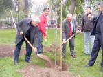 La plantación de los árboles dio el inicio al programa de Mejoramiento de Gestión Municipal año 2012.