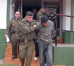 El oportuno aviso dado por el afectado a Carabineros permitió la detención de 3 de los 4 sujetos y la recuperación de todas las especies.
