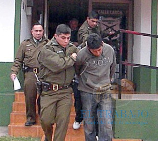 El oportuno aviso dado por el afectado a Carabineros permitió la detención de 3 de los 4 sujetos y la recuperación de todas las especies.