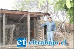 gallinas1