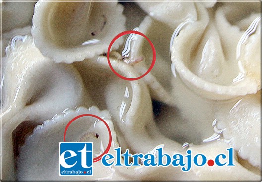 Al preparar los fideos la señora Elizabeth descubrió con espanto los gusanos que comenzaron a flotar en el agua hervida. Al preparar los fideos la señora Elizabeth descubrió con espanto los gusanos que comenzaron a flotar en el agua hervida.
