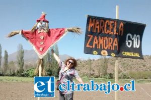 MUY CREATIVA.- Usando Este símbolo del espantapájaros para espantar a los corruptos y mineras de Putaendo, así conquistó a sus votantes esta profesora aconcagüina.