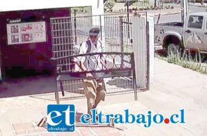El momento exacto cuando el antisocial se apodera de la banca perteneciente a la Clínica Veterinaria PuntoVet, ubicada en la intersección de las avenidas Miraflores con Yungay en San Felipe.