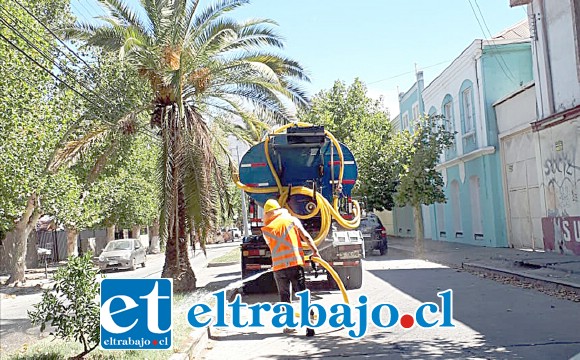 Pese al rechazo, la mantención de las áreas verdes continuará desarrollándose a través de un contrato directo realizado por el municipio.