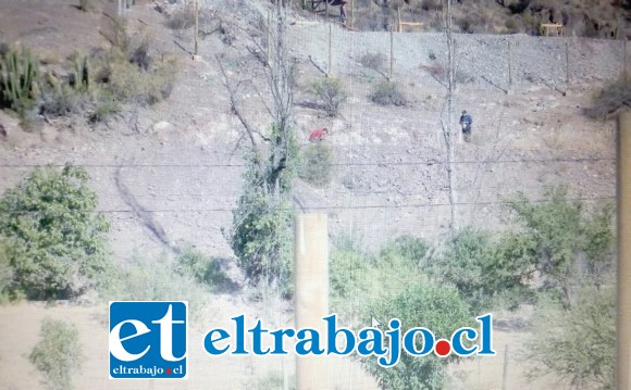 TODO CERCADO.- Ya los vecinos de Las Coimas no pueden hacer caminatas y los cabreros tampoco pastar sus animales.