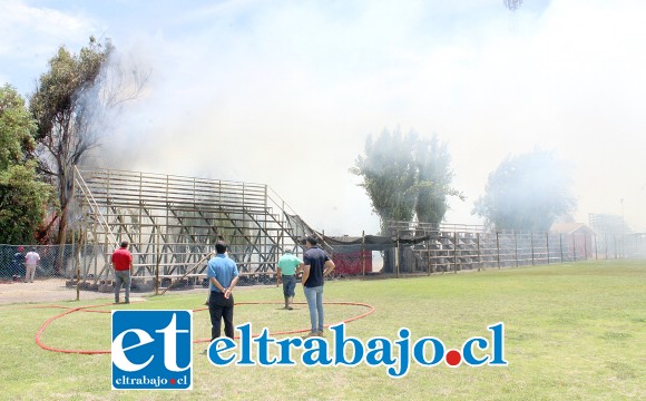 Más de dos mil metros cuadrados de arbustos y pastizales ardieron durante la emergencia desatada ayer en la comuna de Panquehue y que pudo tener nefastas consecuencias.