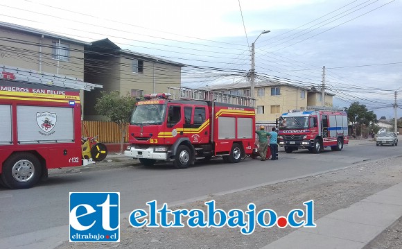 A la emergencia concurrió personal de Bomberos de la Primera, Segunda y Tercera Compañía de San Felipe.
