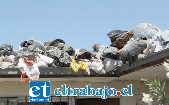 ¿QUIÉN INTERVENDRÁ?- Las bolsas de basura también están en el techo, los olores y roedores afectan también a los vecinos.