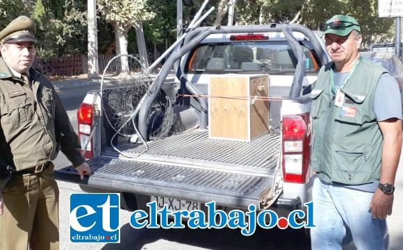 Carabineros y personal del SAG junto a la jaula sobre la camioneta donde el zorro sería trasladado a un lugar seguro.