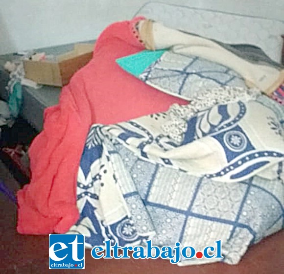 La cama completamente desarmada.
