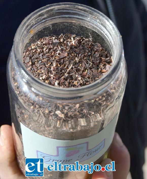 MADE IN SAN FELIPE.- Así luce este producto como materia bruta, pronto veremos los galletones que pueden elaborarse usando esta harina de uva.