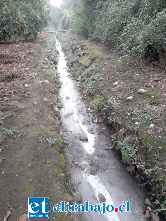 Acá se aprecia la acequia con aguas servidas.