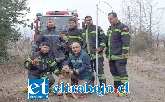 La destacable acción de Bomberos permitió devolverle la alegría y fortaleza al cachorro rescatado, posando en la fotografía junto a los voluntarios de la Tercera Compañía de Santa María.