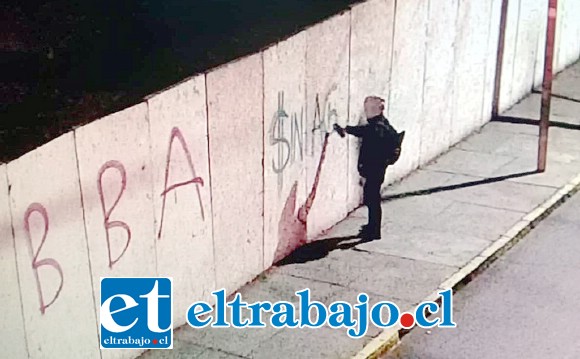 La cámara de vigilancia captó el momento en que el individuo rayaba el cierre perimetral de la obra en construcción que se ejecuta en calle Merced esquina Portus en San Felipe.