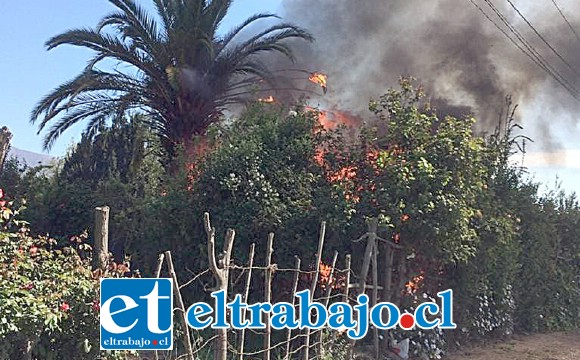 El incendio se declaró alrededor de las 11:00 horas de ayer lunes en el sector Quebrada Herrera de San Felipe, afectando a tres inmuebles.