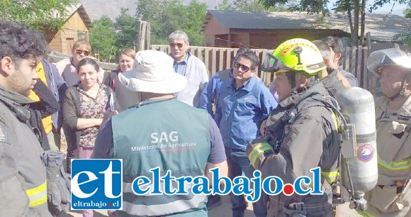Los menores afectados luego de ser atendidos en diferentes centros asistenciales, fueron derivados hasta sus hogares.