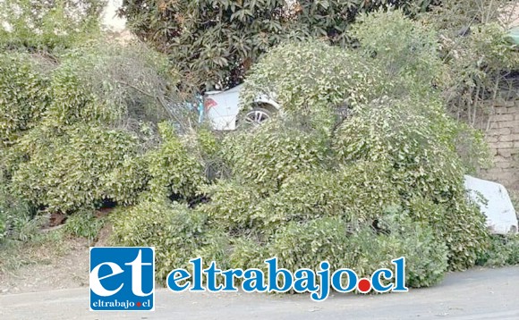 El accidente de tránsito ocurrió alrededor de las 20:00 horas de este domingo.