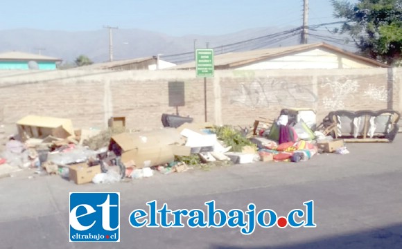 Acá se puede apreciar la gran cantidad de basura que había antes de ser retirada.